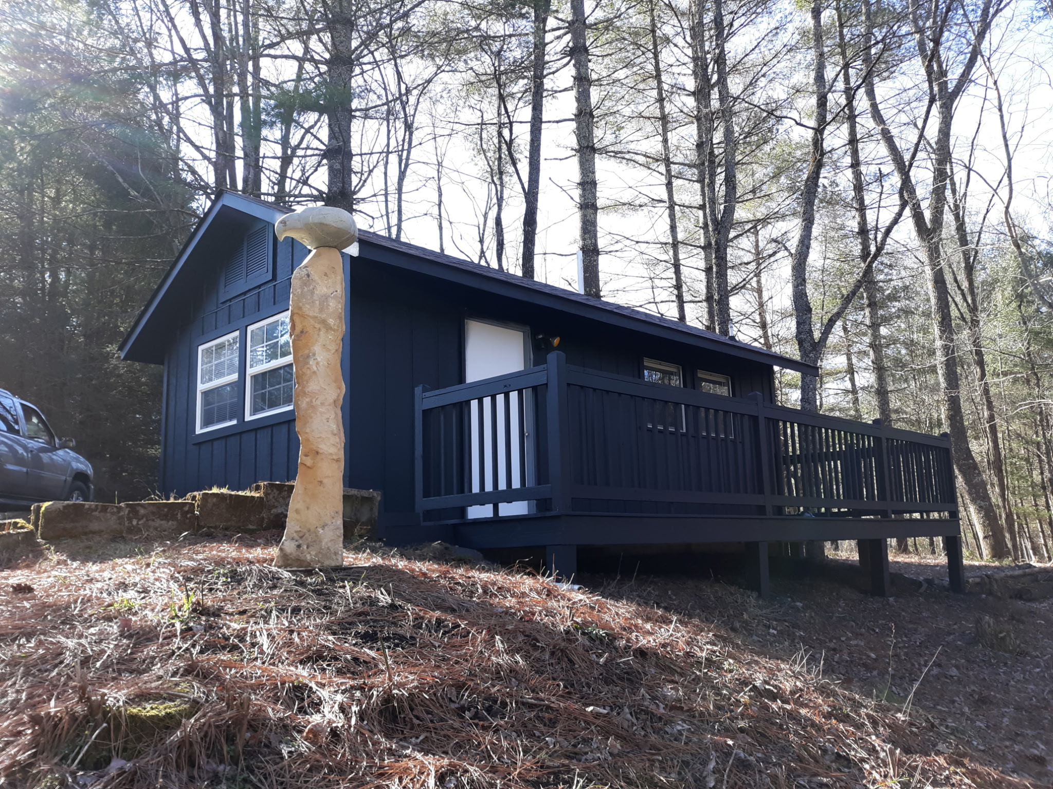 Small navy-painted mountain cabin with stone chimney