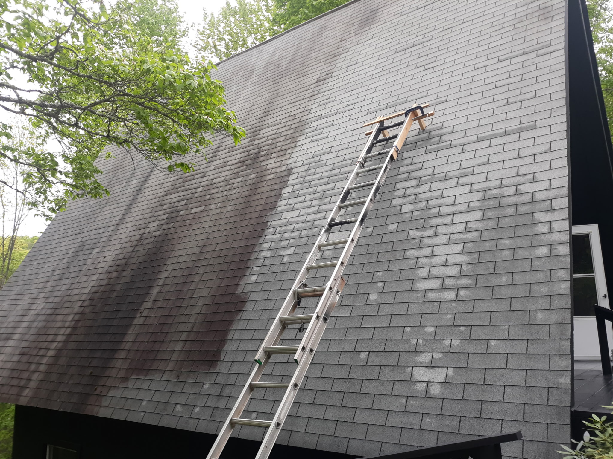 Roof shingles being soft-washed by Flying Colors crew, half-clean half-grimy